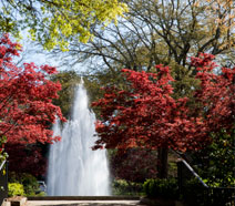 Herty Field fountain