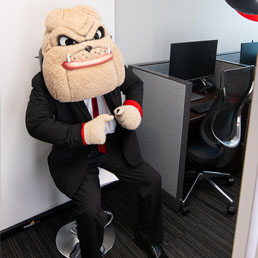 Hairy Dawg in a professional suit