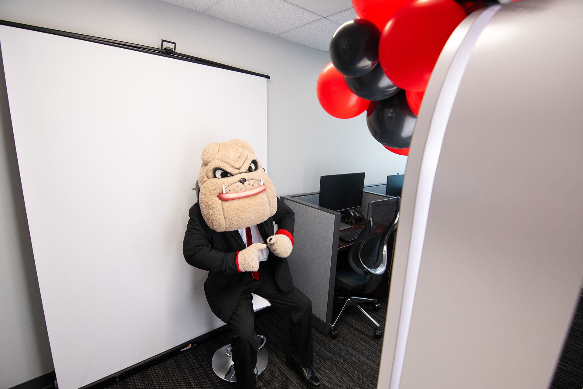 Hairy Dawg having his photo taken using the Career Center's new professional photo booth