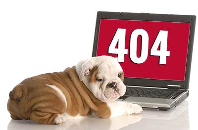 bulldog puppy near computer screen that displays a 404 - page not found - error message