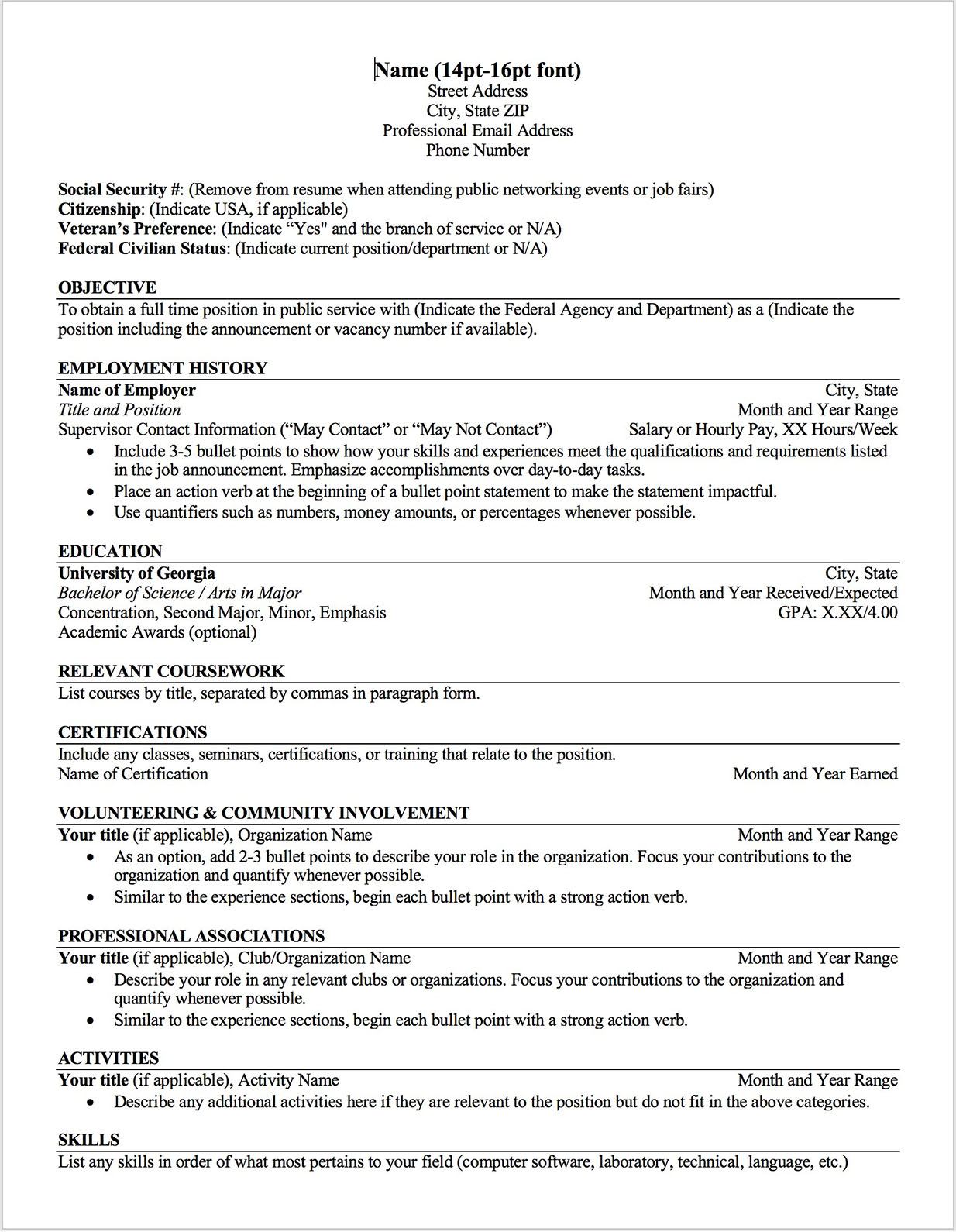 Federal resume template